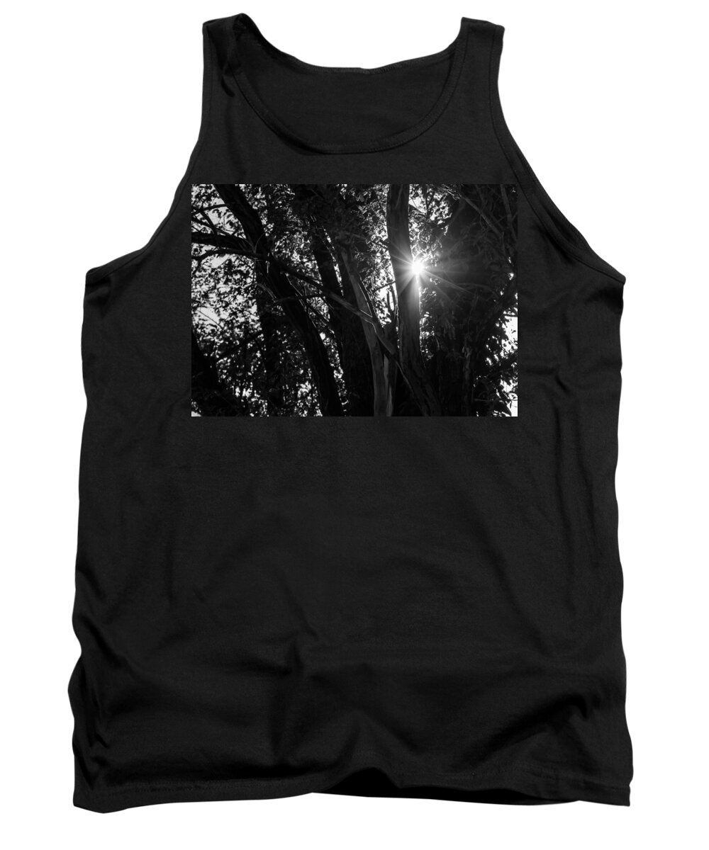 Trees Tank Top featuring the photograph Through The Trees by Holden The Moment