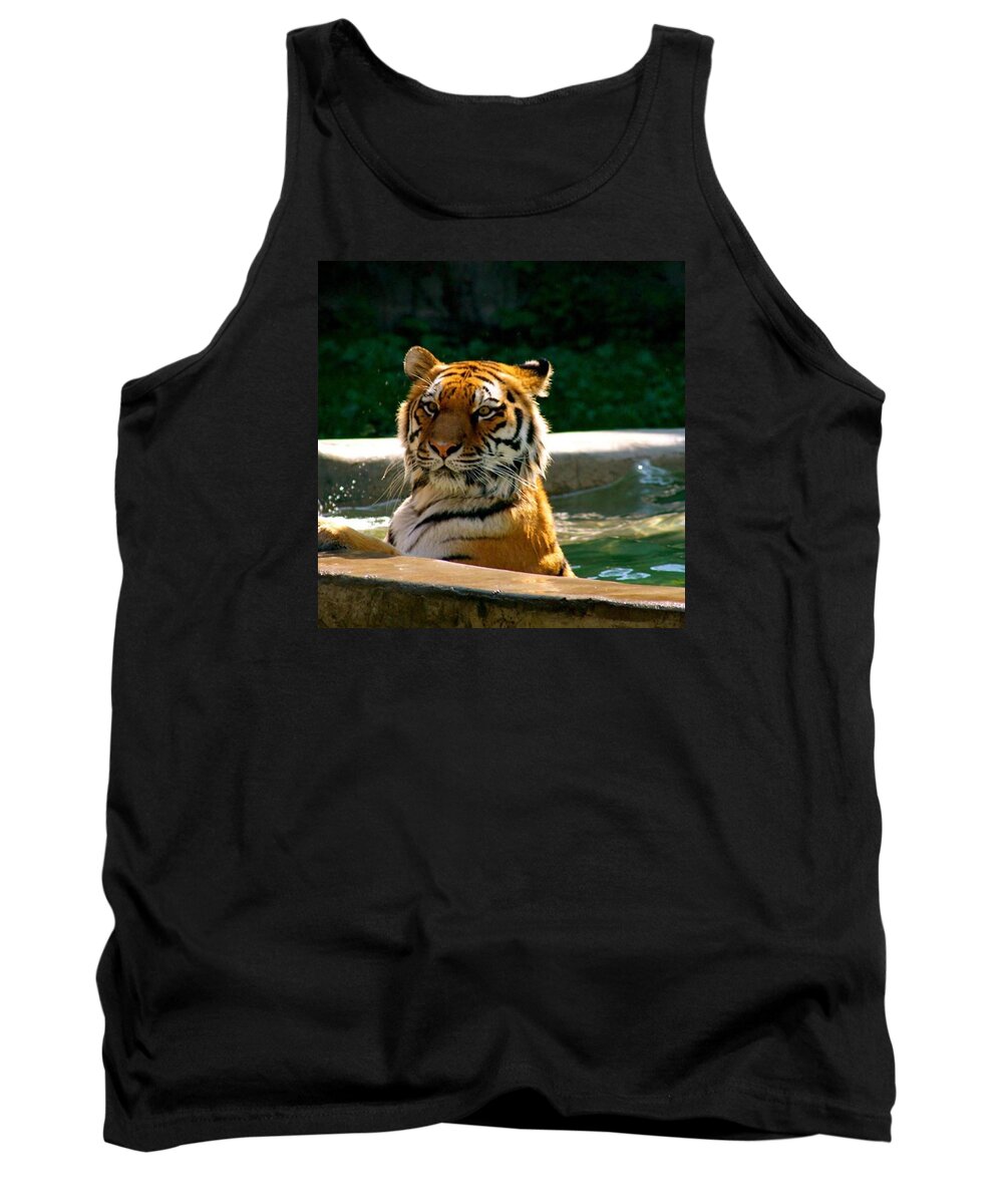Tiger Tank Top featuring the photograph Tiger Bath by Justin Connor