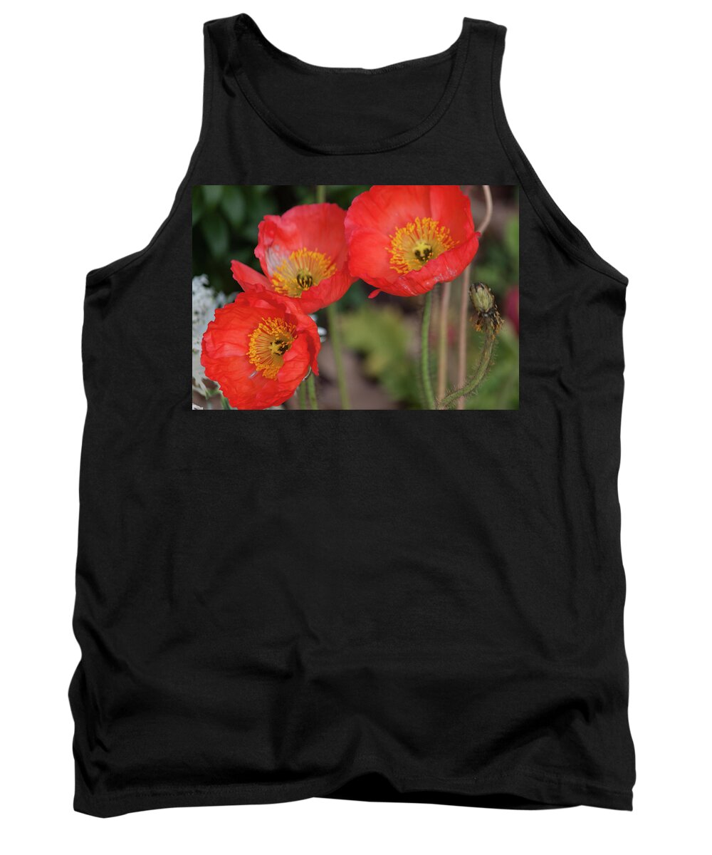Photograph Tank Top featuring the photograph Trio of Red Poppies by Suzanne Gaff