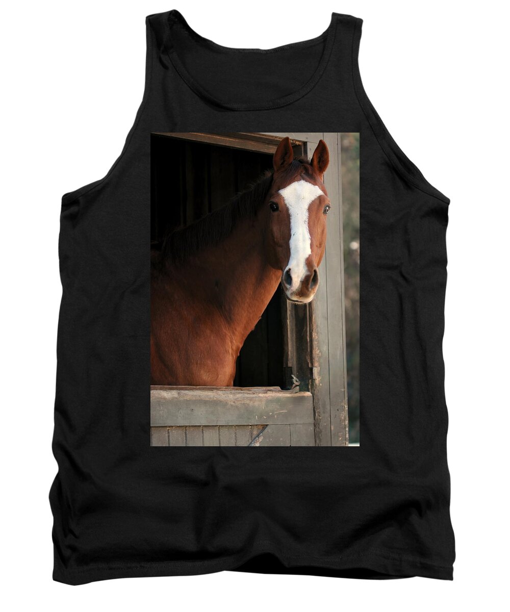 Thoroughbred Tank Top featuring the photograph T's Window by Angela Rath