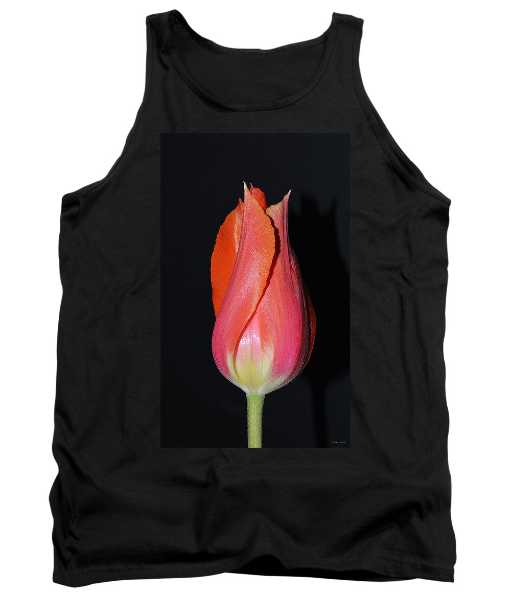 Tulips Tank Top featuring the photograph Tulip model nr. 1 by Felicia Tica