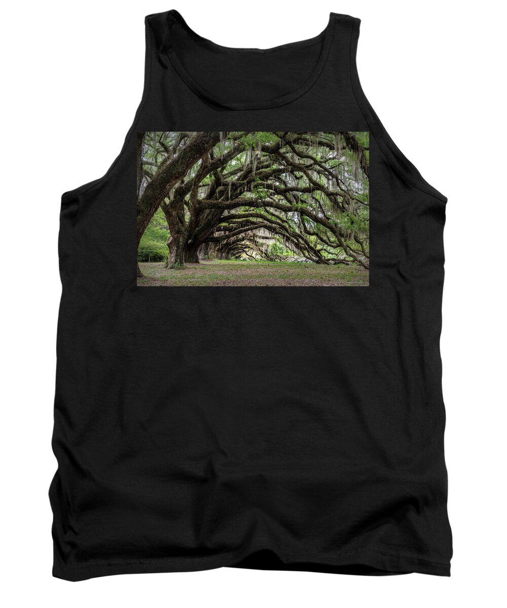 Art Tank Top featuring the photograph Tunnel in Charleston by Jon Glaser