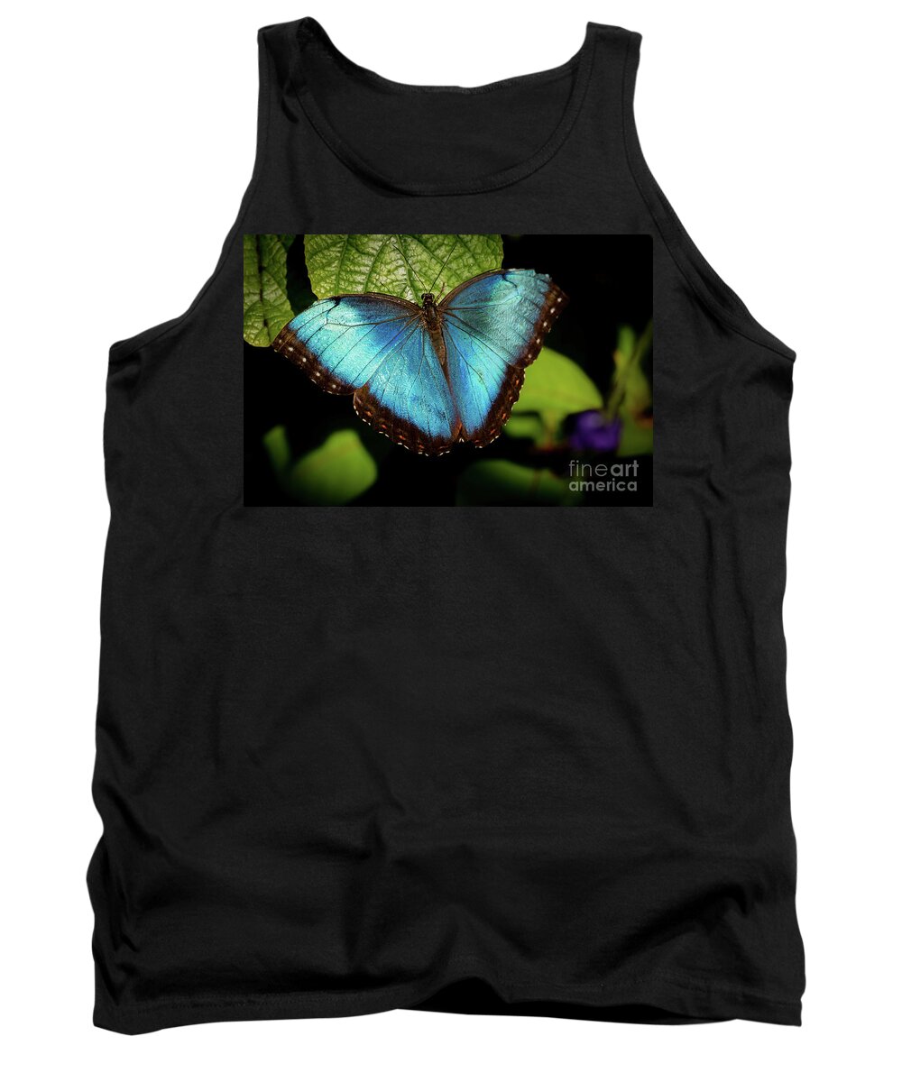 Spring Tank Top featuring the photograph Turquoise Beauty by Sabrina L Ryan