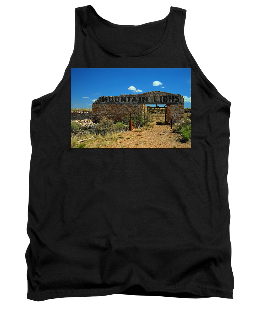 Home Tank Top featuring the photograph Two Guns by Richard Gehlbach