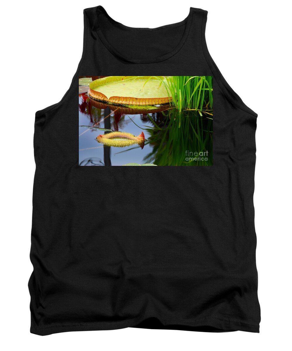 Water Tank Top featuring the photograph Two Victoria Water Lilypads by Nancy Mueller