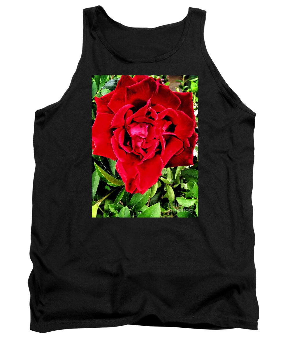 Red Rose Tank Top featuring the photograph Velvet Red Rose by Joan-Violet Stretch