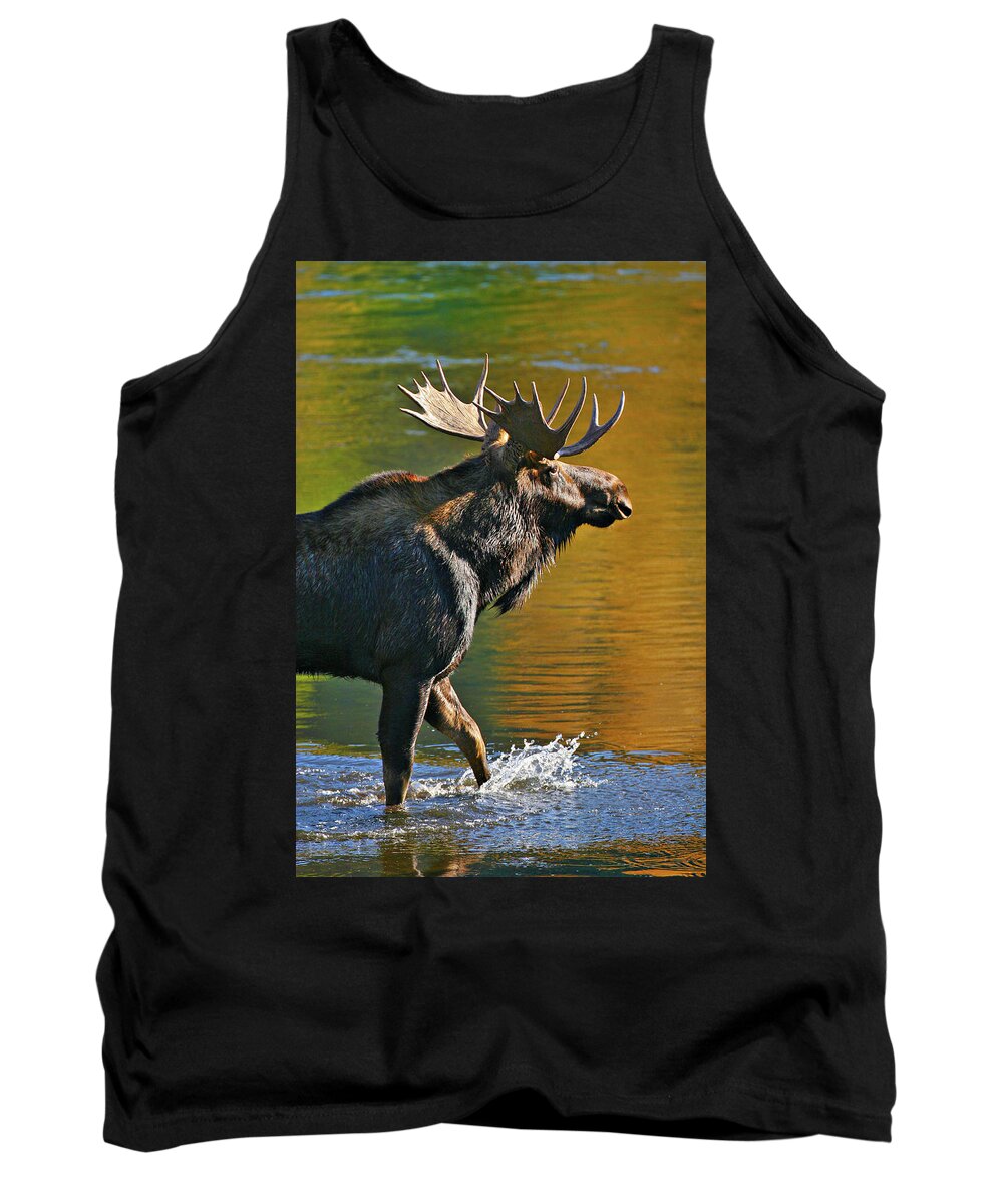 Bull Tank Top featuring the photograph Wading Moose by Wesley Aston