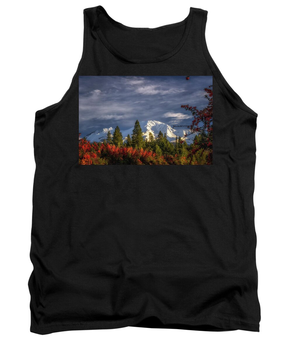 California Tank Top featuring the photograph Waking Up by Marnie Patchett