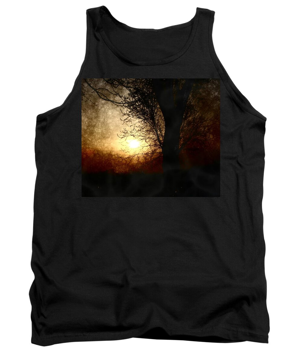 Landscape Tank Top featuring the photograph Walk Quietly Into the Night with Me. by Julie Lueders 