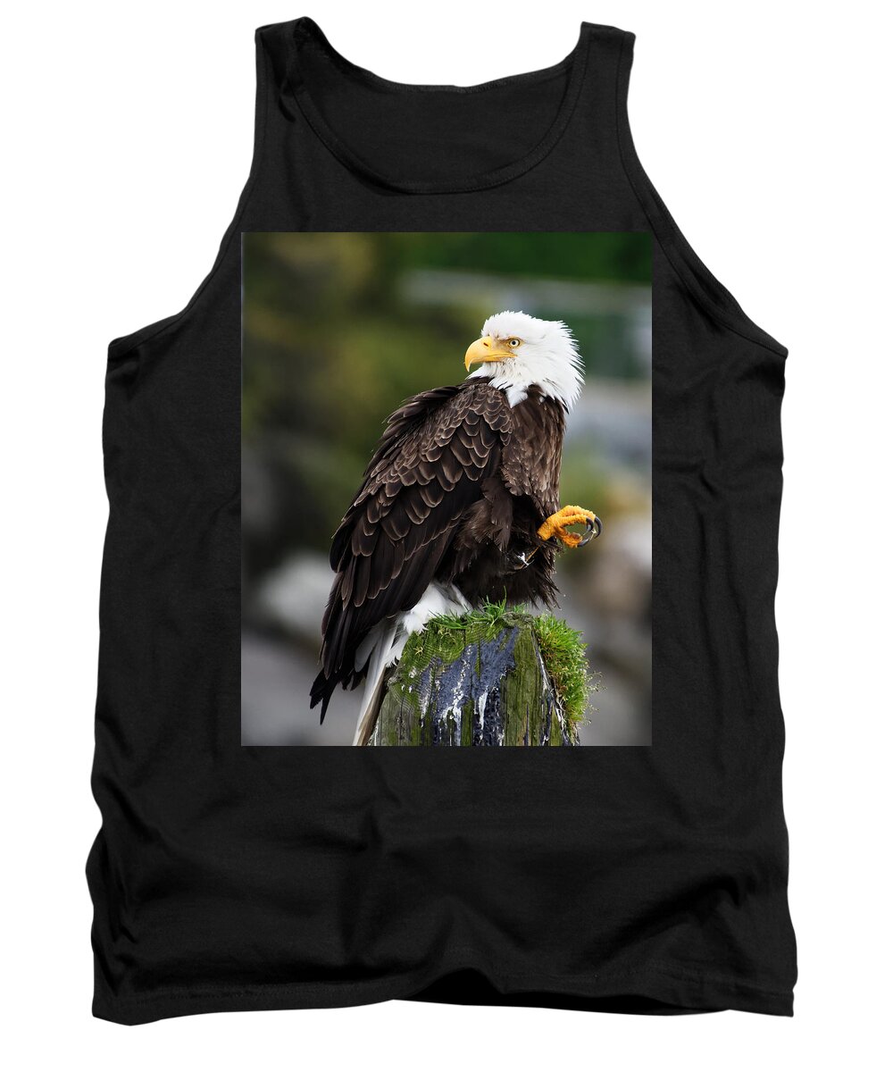 United States Tank Top featuring the photograph Who's Back There? -- Bald Eagle at Sitka, Alaska by Darin Volpe
