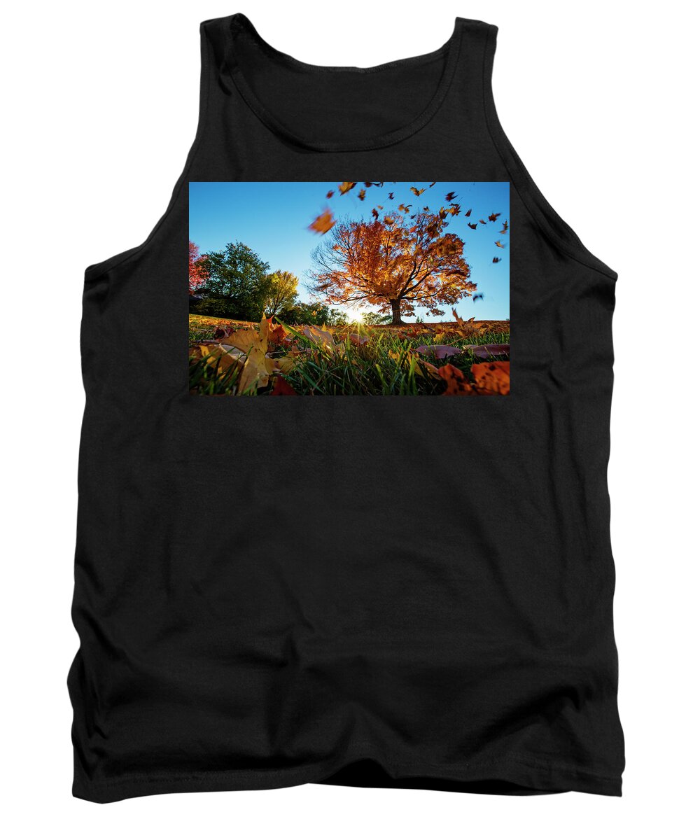 Autumn Tank Top featuring the photograph Windy October by Mircea Costina Photography