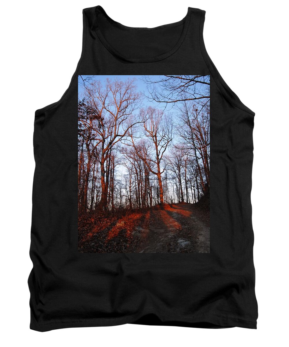 Landscape Tank Top featuring the photograph Winter Sunset in Georgia Mountains by Angela Murray