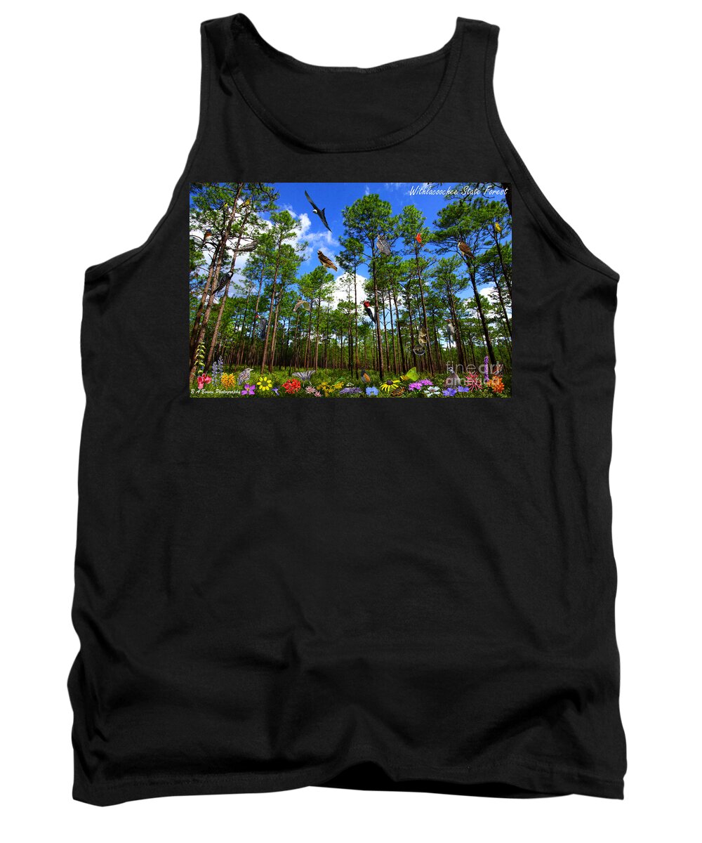 Withlacoochee State Forest Tank Top featuring the photograph Withlacoochee State Forest Nature Collage by Barbara Bowen
