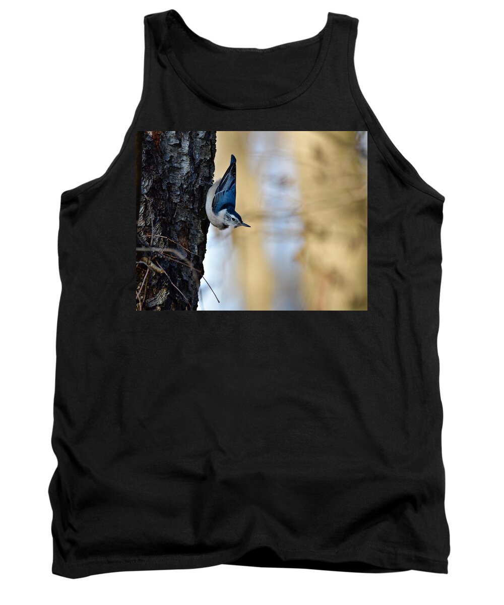 Wall Art Tank Top featuring the photograph Blue Jay #1 by Jeffrey PERKINS