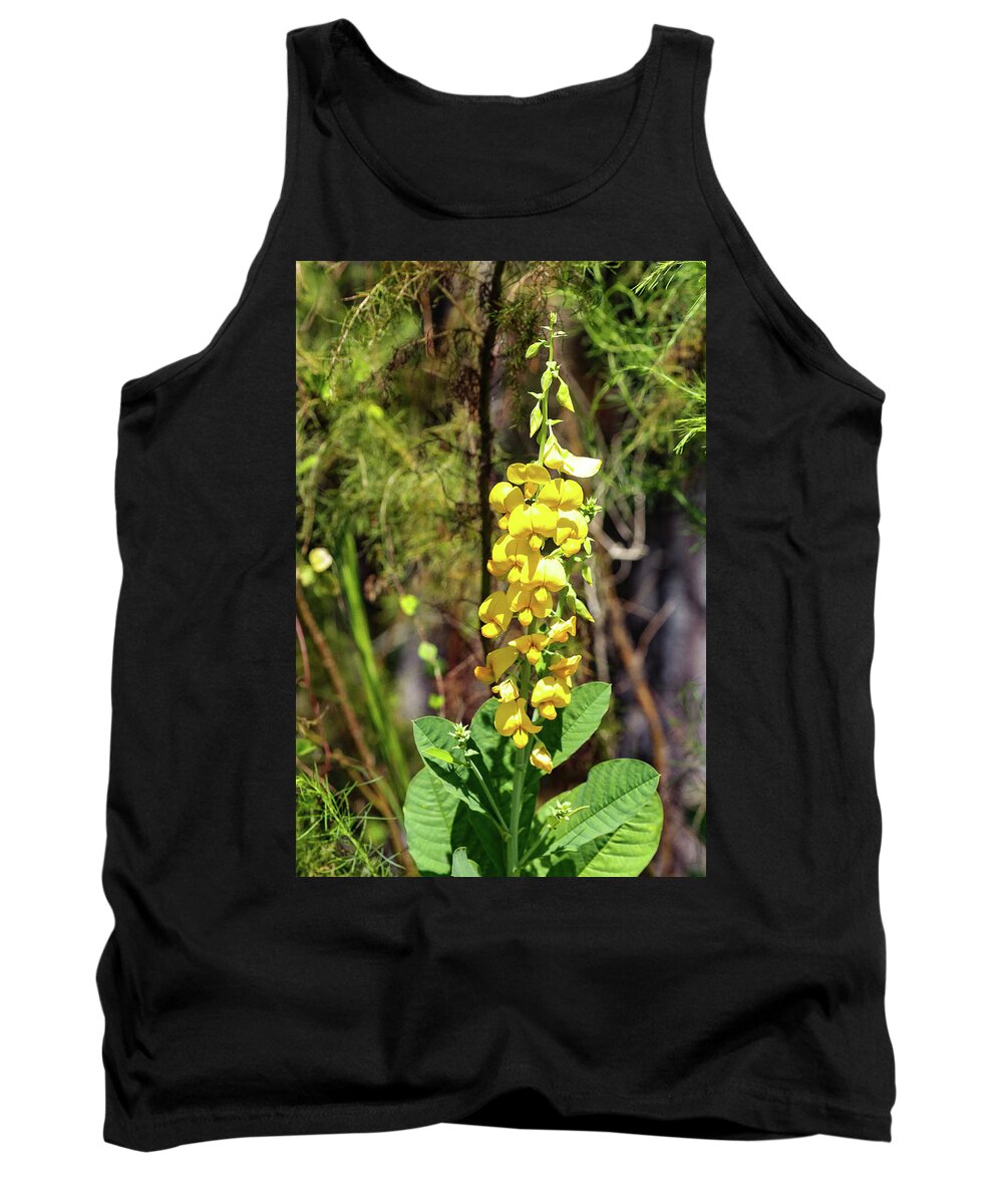 Flowers Tank Top featuring the photograph Fall Beauty #1 by Rick Redman