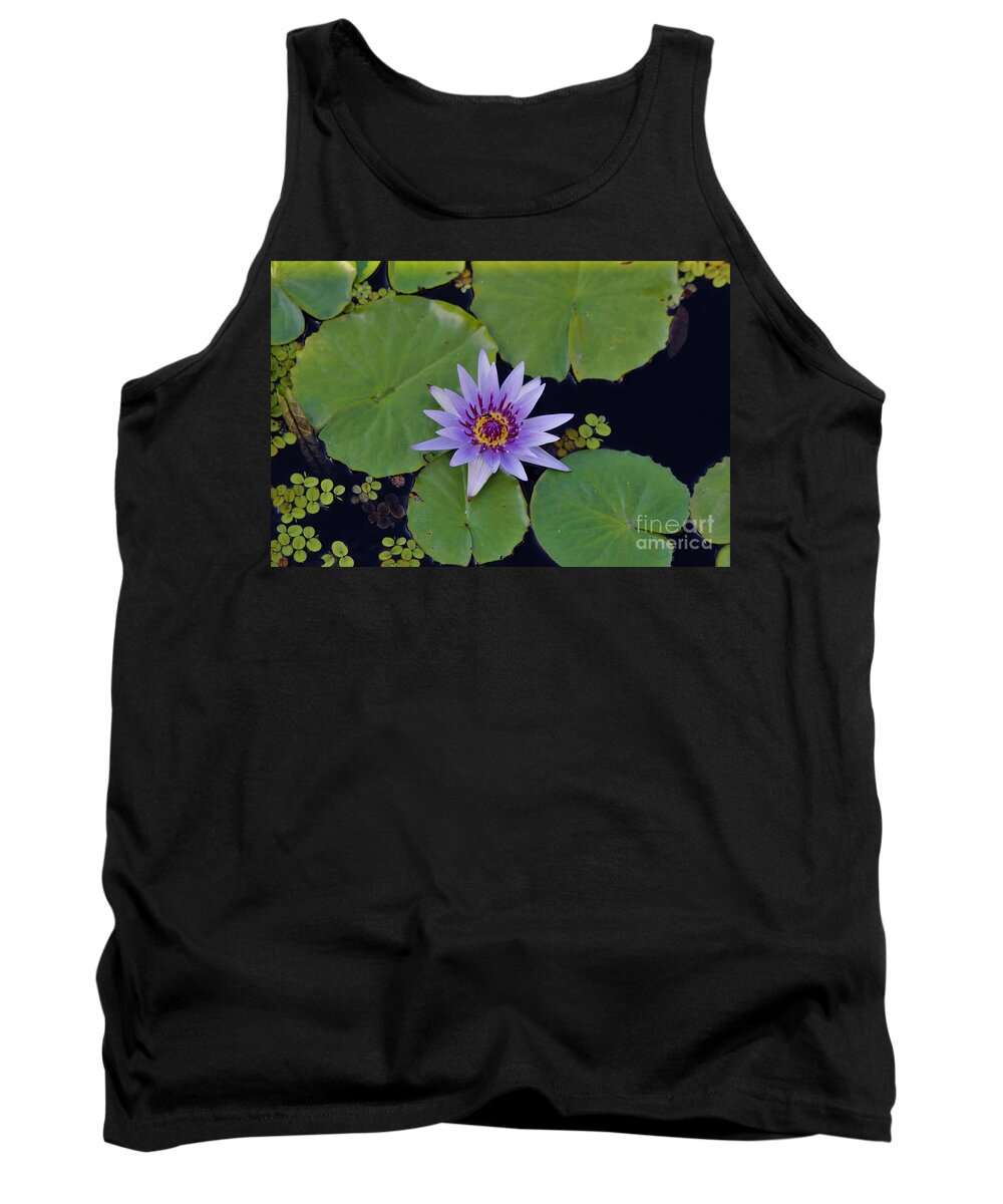 Naples Tank Top featuring the photograph Botanical Gardens #10 by Donn Ingemie
