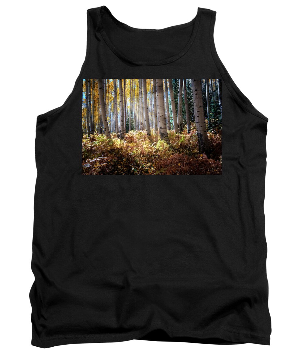 Aspens Tank Top featuring the photograph Aspen Alley by David Soldano