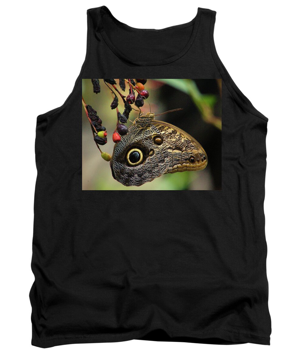 Butterfly Tank Top featuring the photograph Autumn harvest by Michael Allard