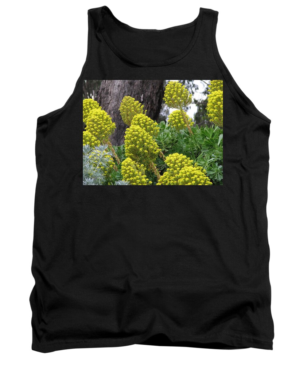 View Tank Top featuring the photograph Beauty or Weed by Joan Stratton