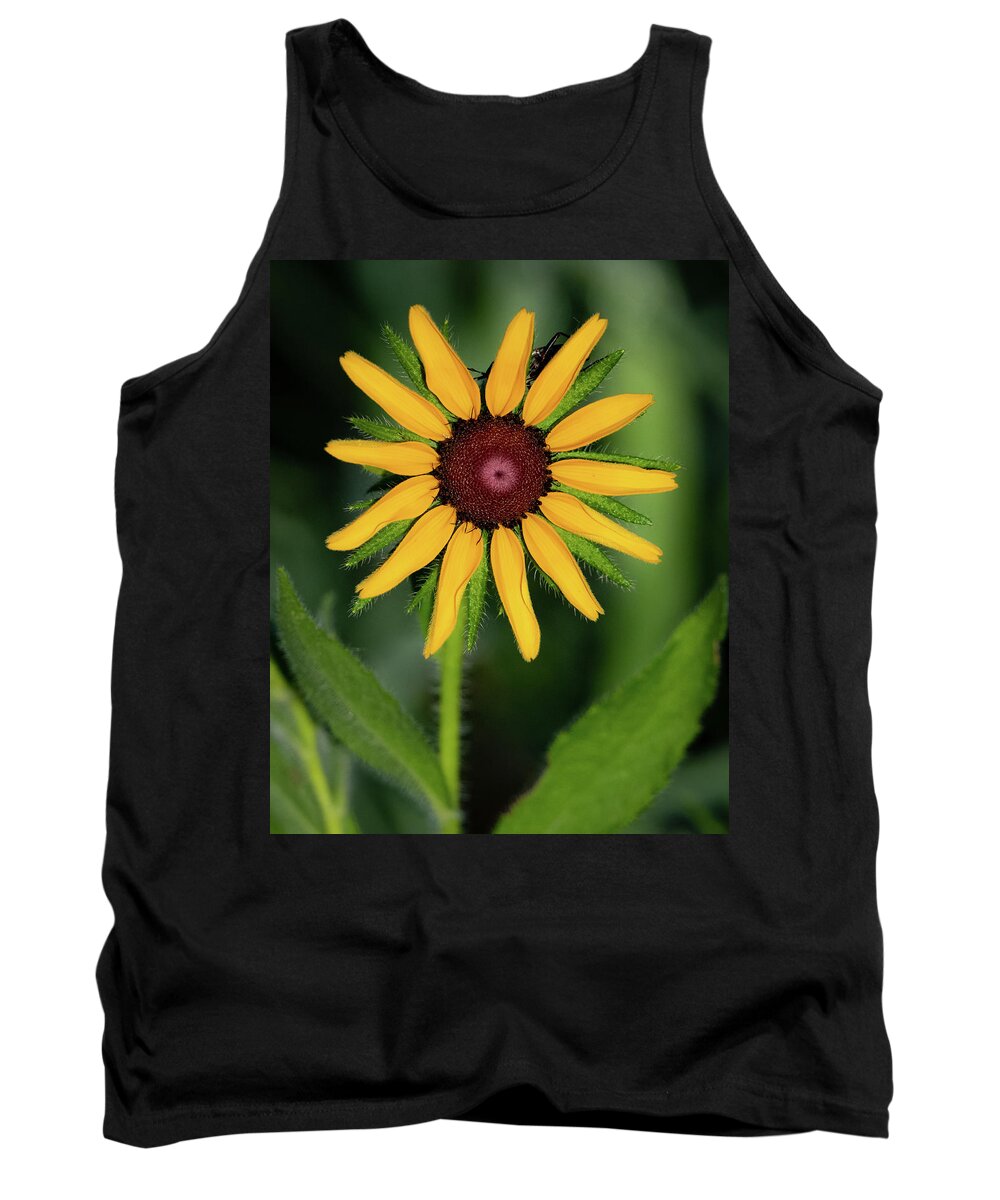 Johnson County Tank Top featuring the photograph Black Eyed Susan by Jeff Phillippi