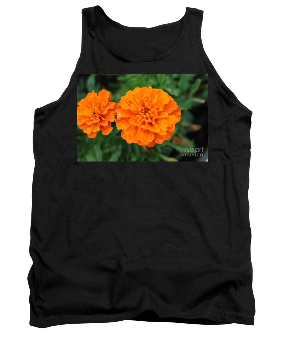 Blooming Marigold Tank Top featuring the photograph Blooming Marigold by Barbra Telfer