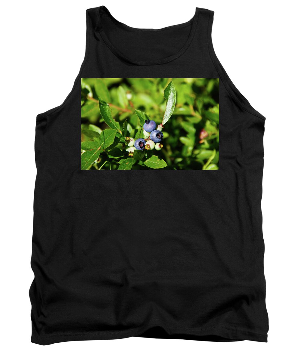 Peaked Mountain Tank Top featuring the photograph Blueberries by Rockybranch Dreams