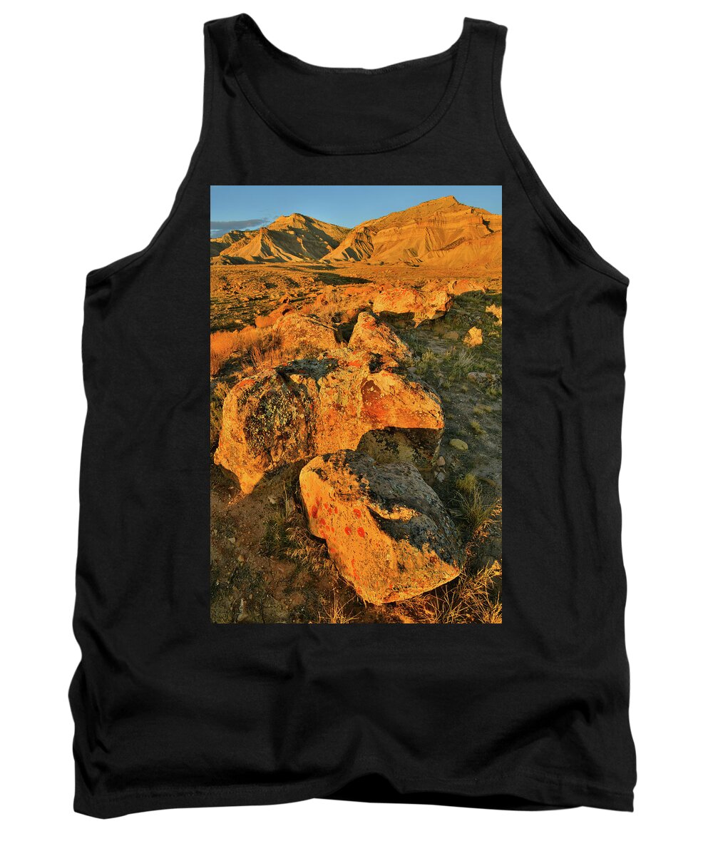 Book Cliffs Tank Top featuring the photograph Colorful Boulders in Book Cliffs by Ray Mathis