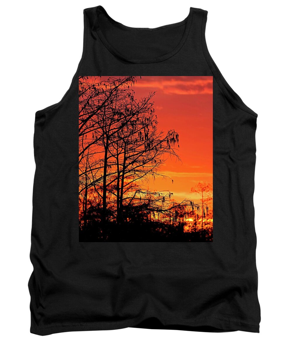 Sky Tank Top featuring the photograph Cypress Swamp Sunset by Steve DaPonte