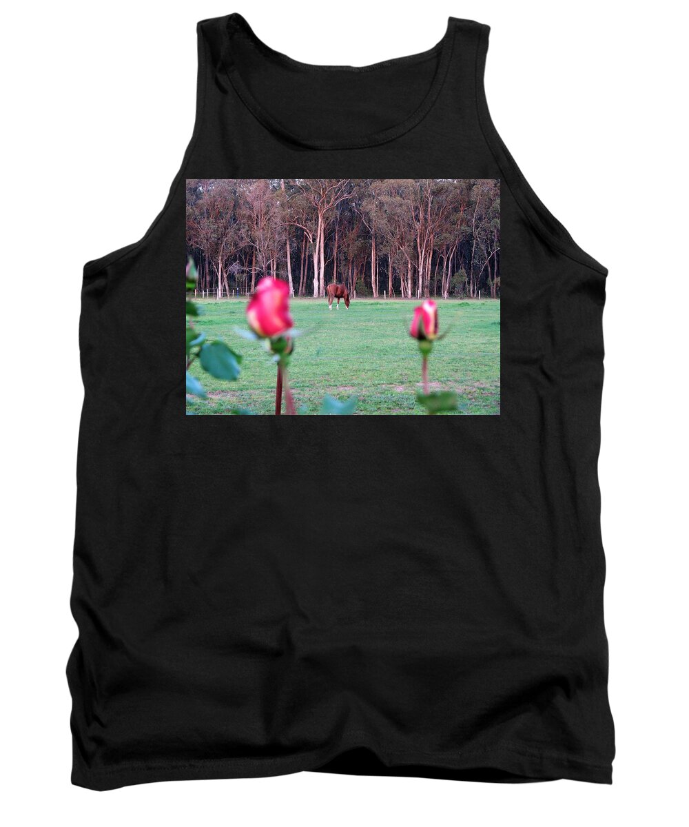 View Tank Top featuring the photograph Horse and Roses by Joan Stratton