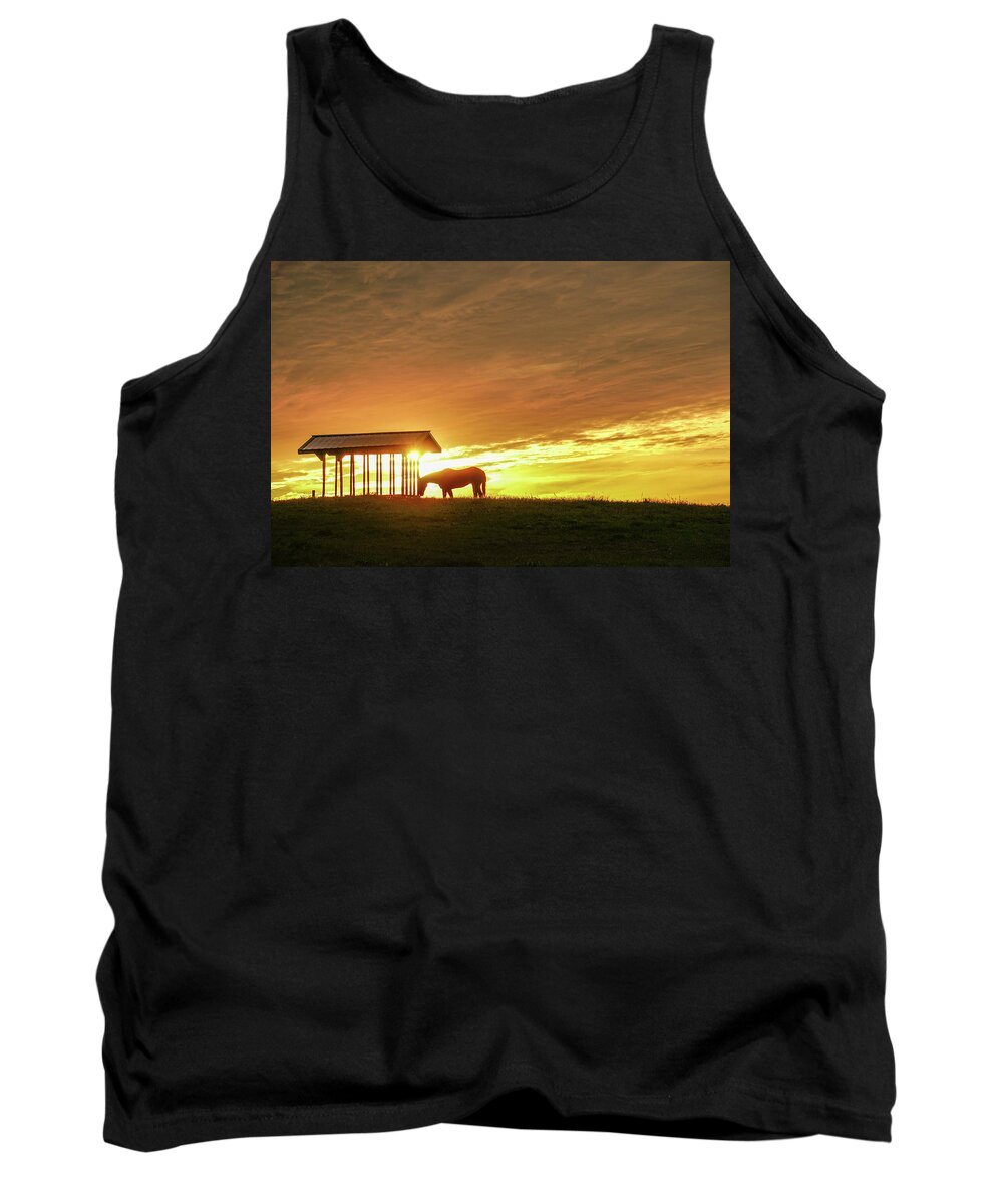 Horse Tank Top featuring the photograph Horse in the Spotlight by Tana Reiff