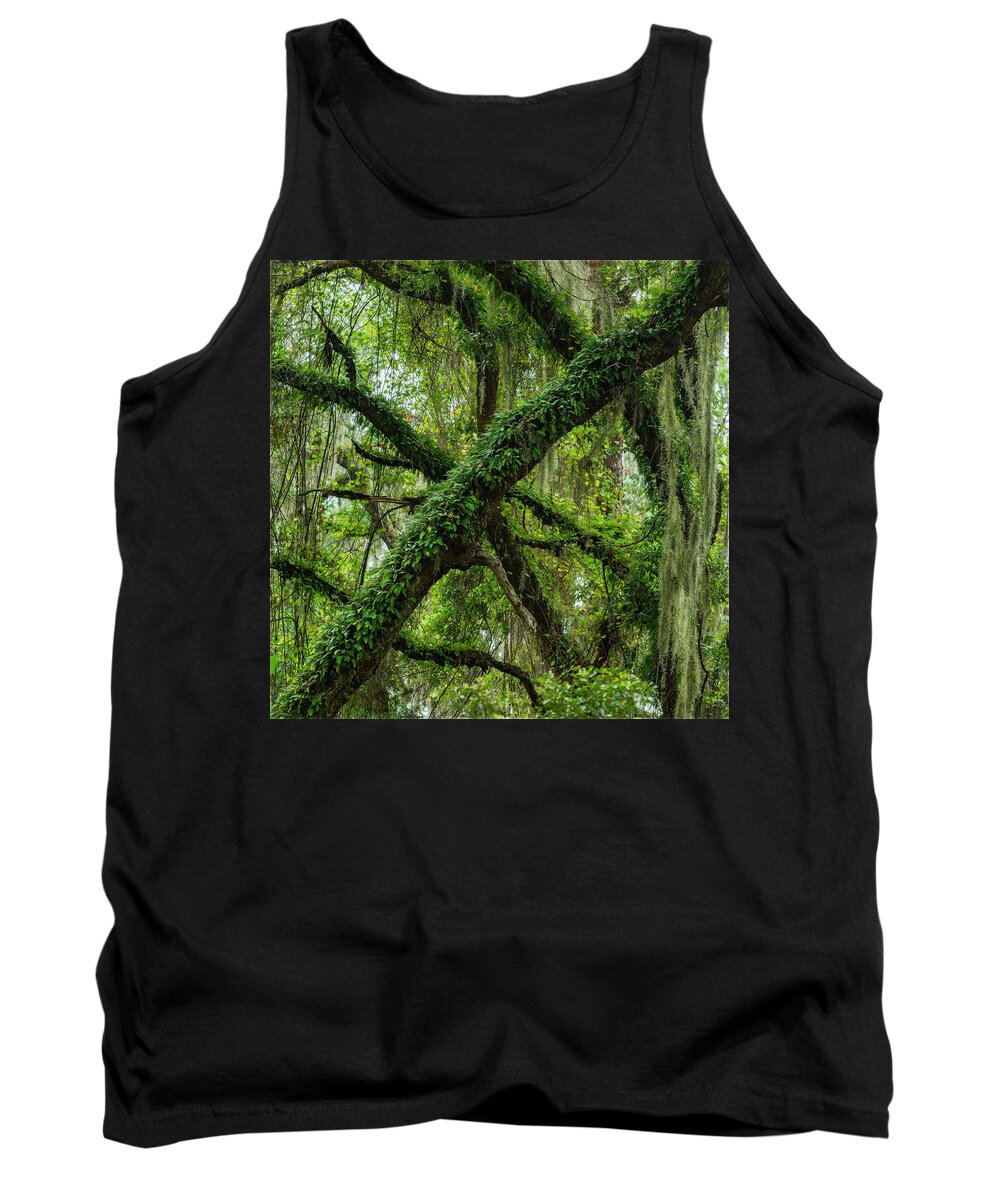 Georgia Tank Top featuring the photograph Jekyll Island Draperies by James Covello