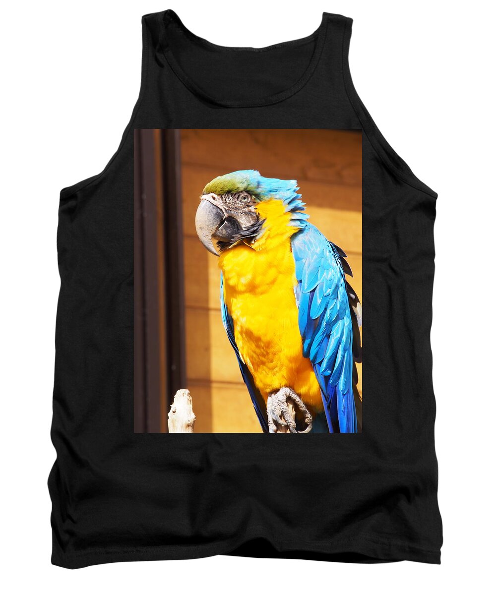 Macaw Tank Top featuring the photograph Macaw by Kon Kon
