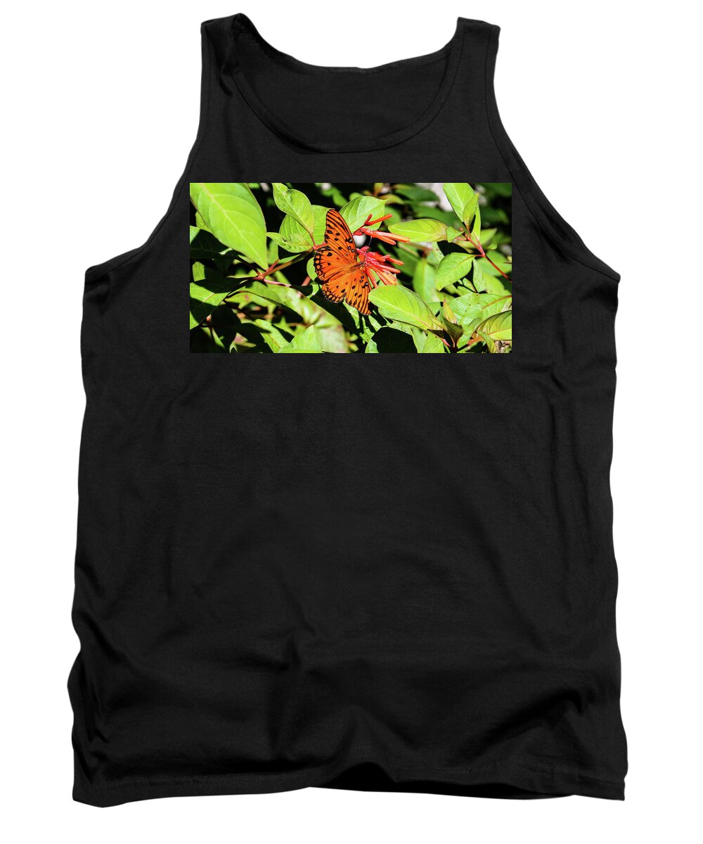 Butterfly Tank Top featuring the photograph Monarch by Rick Redman