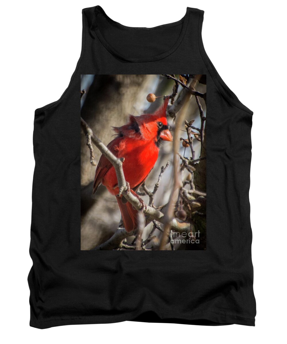 Cardinal Tank Top featuring the photograph Pretty Boy by Cheryl McClure