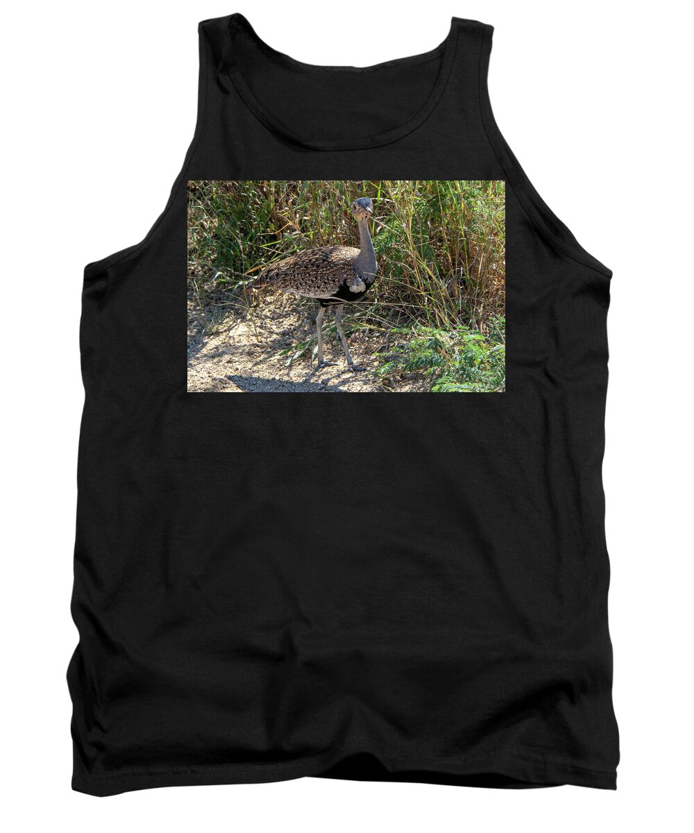 Red-crested Bustard Tank Top featuring the photograph Red-Crested Bustard of Kruger by Douglas Wielfaert
