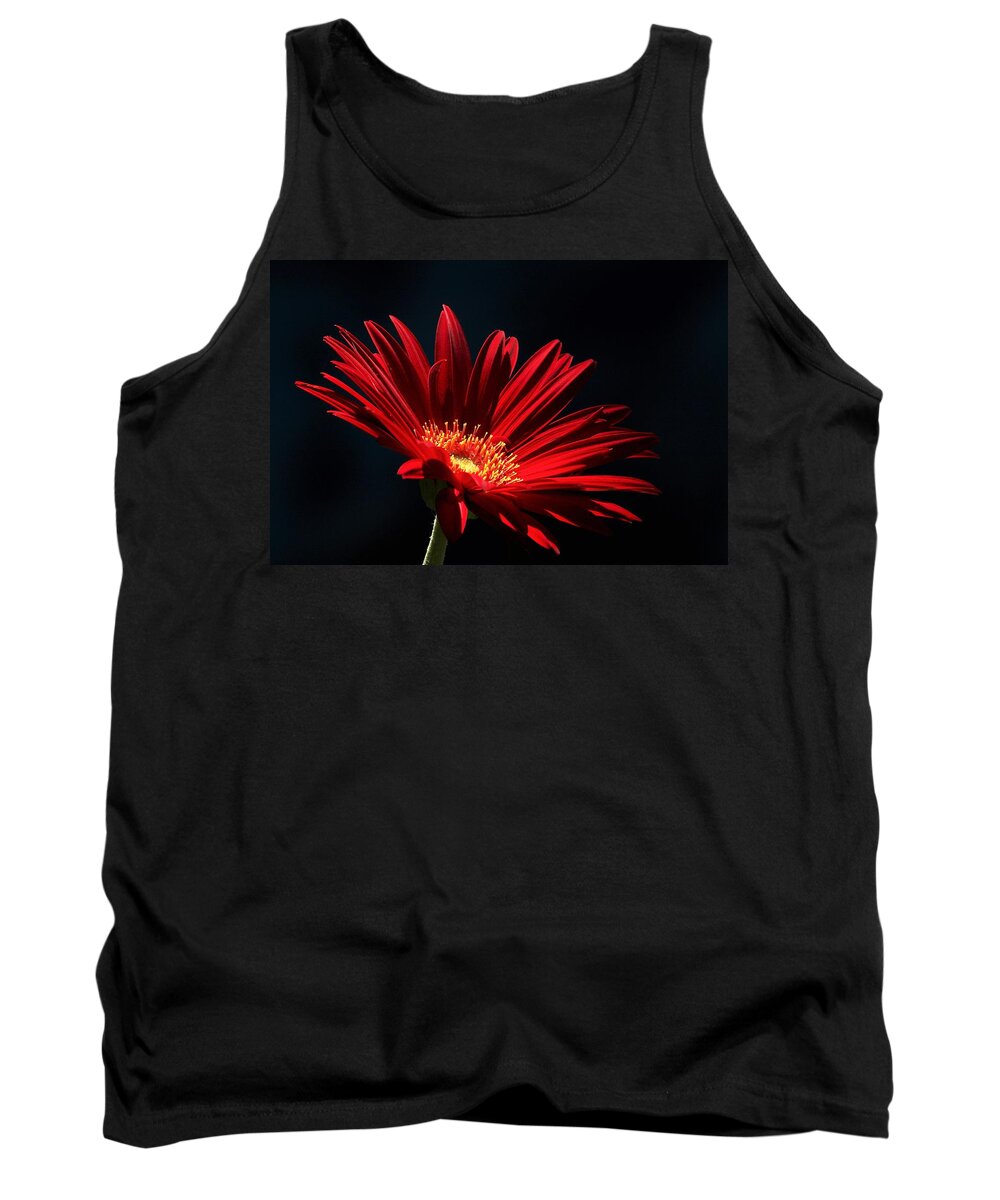 Nature Tank Top featuring the photograph Red Gerber Daisy in Spotlight by Sheila Brown