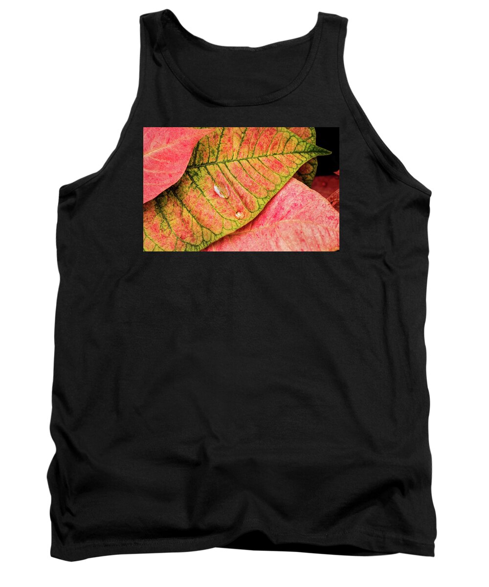Leaf Tank Top featuring the photograph Two Drops by Don Johnson