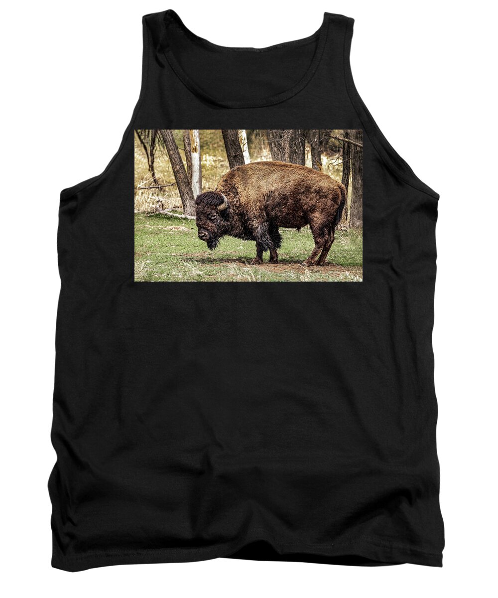 American Bison Tank Top featuring the photograph American Bison #1 by Dawn Key