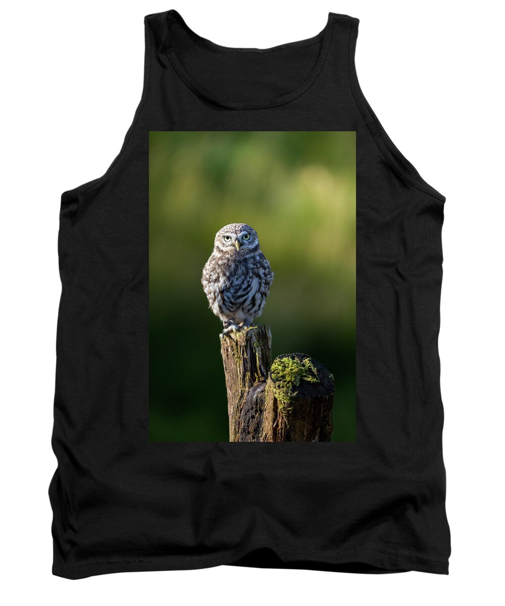 Little Owl Tank Top featuring the photograph Little Owl #1 by Anita Nicholson