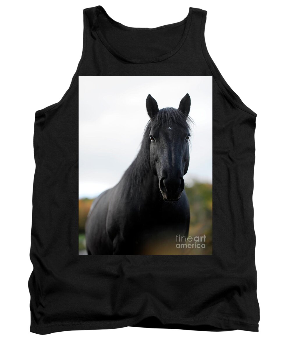 Rosemary Farm Tank Top featuring the photograph Molly #1 by Carien Schippers