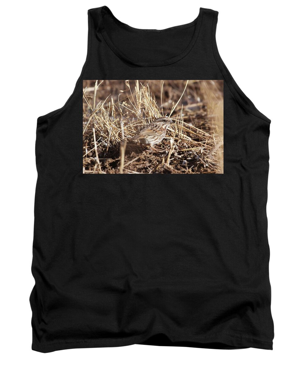 Song Sparrow Tank Top featuring the photograph Song Sparrow #1 by Robert Harris