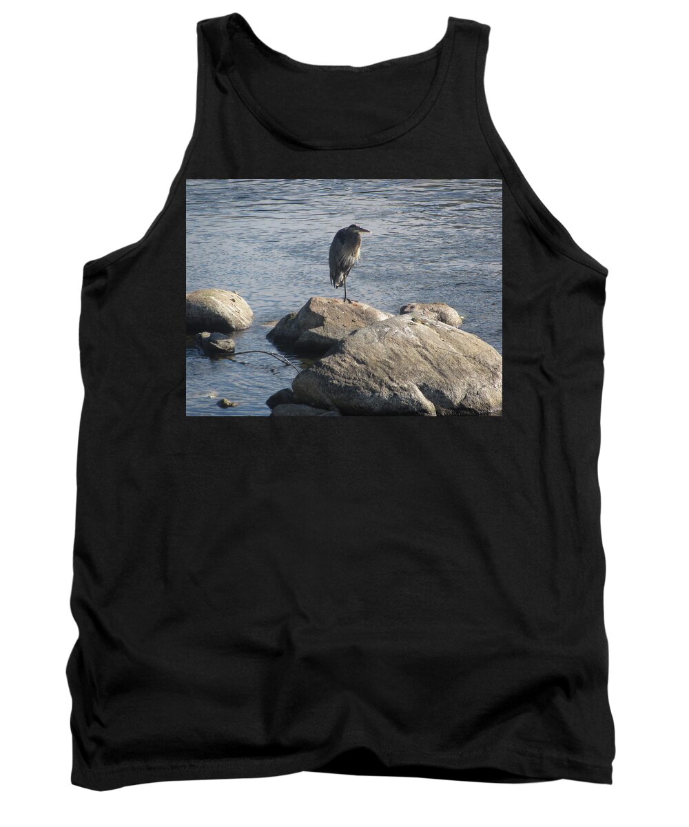 Heron Tank Top featuring the photograph Blue Heron #2 by Stephanie Moore