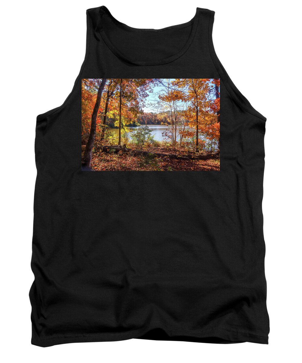 Lake Tank Top featuring the photograph A Woods To Lake View by Ed Williams
