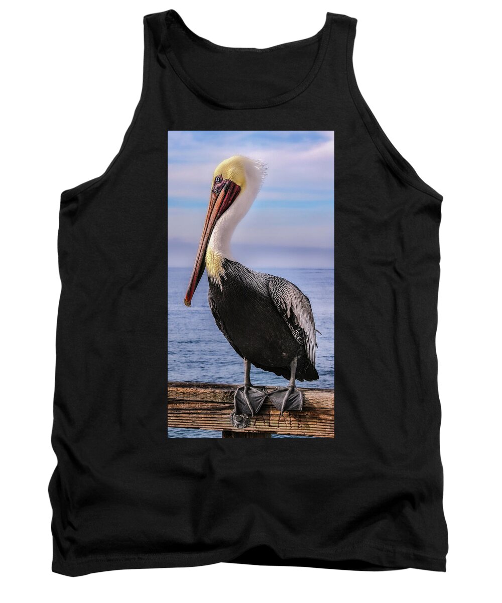 Bird Photography Tank Top featuring the photograph Alan the Pretty Pelican 2 by Sally Bauer