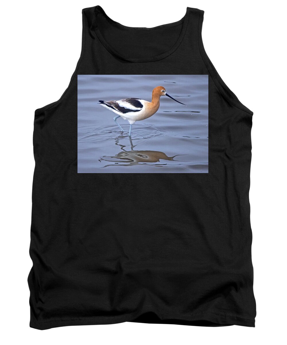  Tank Top featuring the photograph American Avocets #1 by Carla Brennan