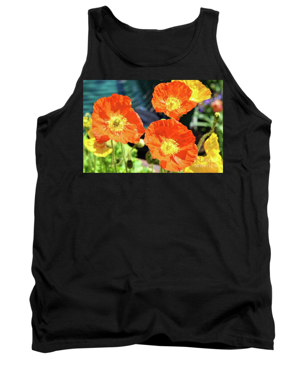 Flowers Tank Top featuring the photograph Arctic Poppies by Diana Mary Sharpton