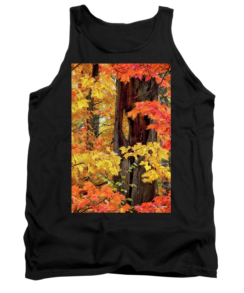 Northern Michigan Tank Top featuring the photograph Autumn in Northern Michigan by Peg Runyan