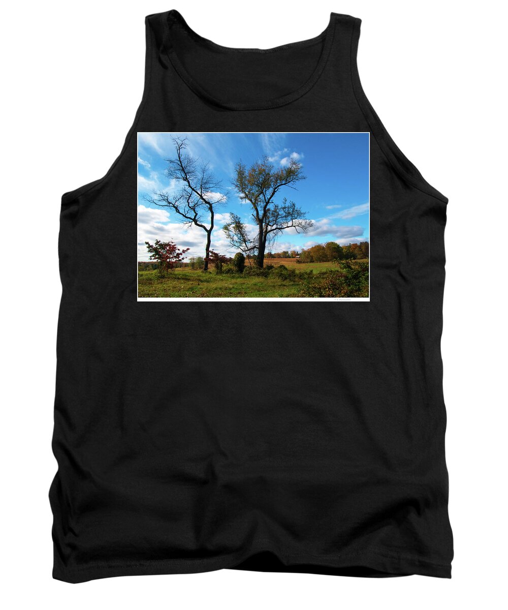 Pennsylvania Tank Top featuring the photograph Bare Trees, Meadow in Autumn by A Macarthur Gurmankin