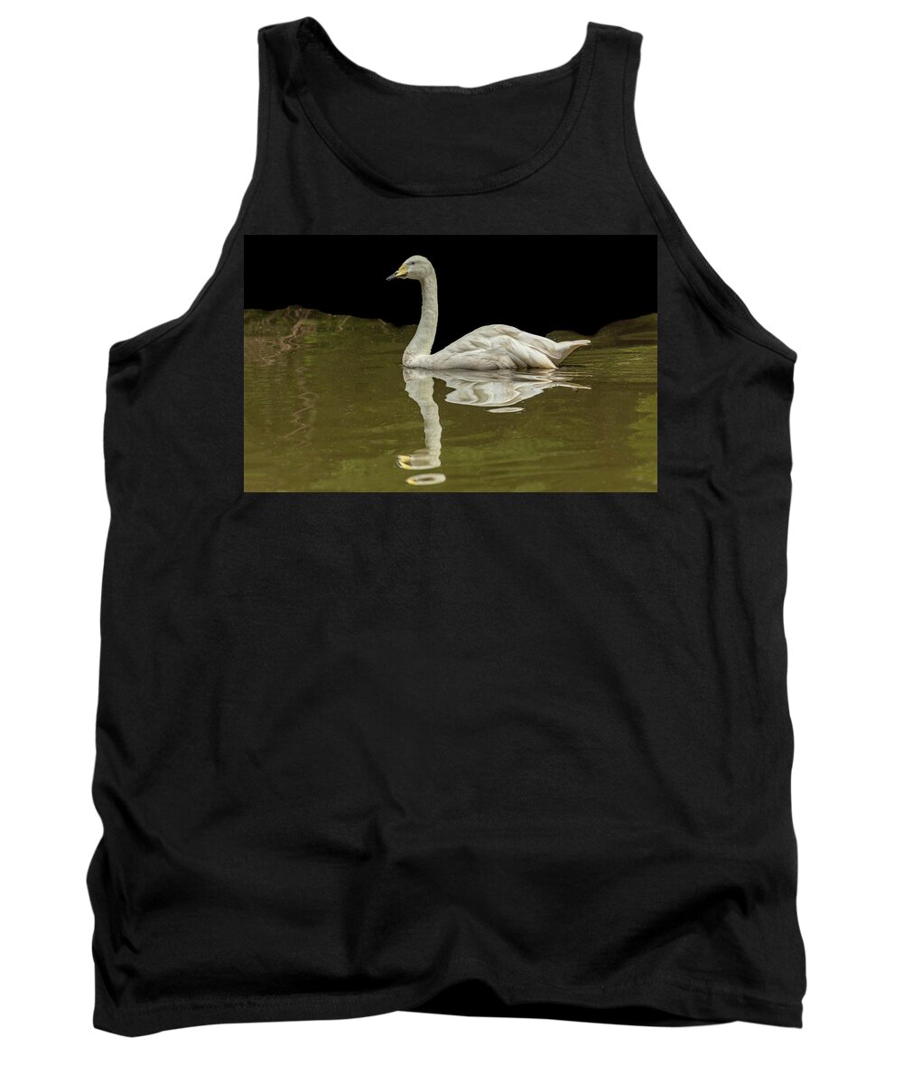 Swans Tank Top featuring the photograph Bewick's Swan 05 by Jim Dollar