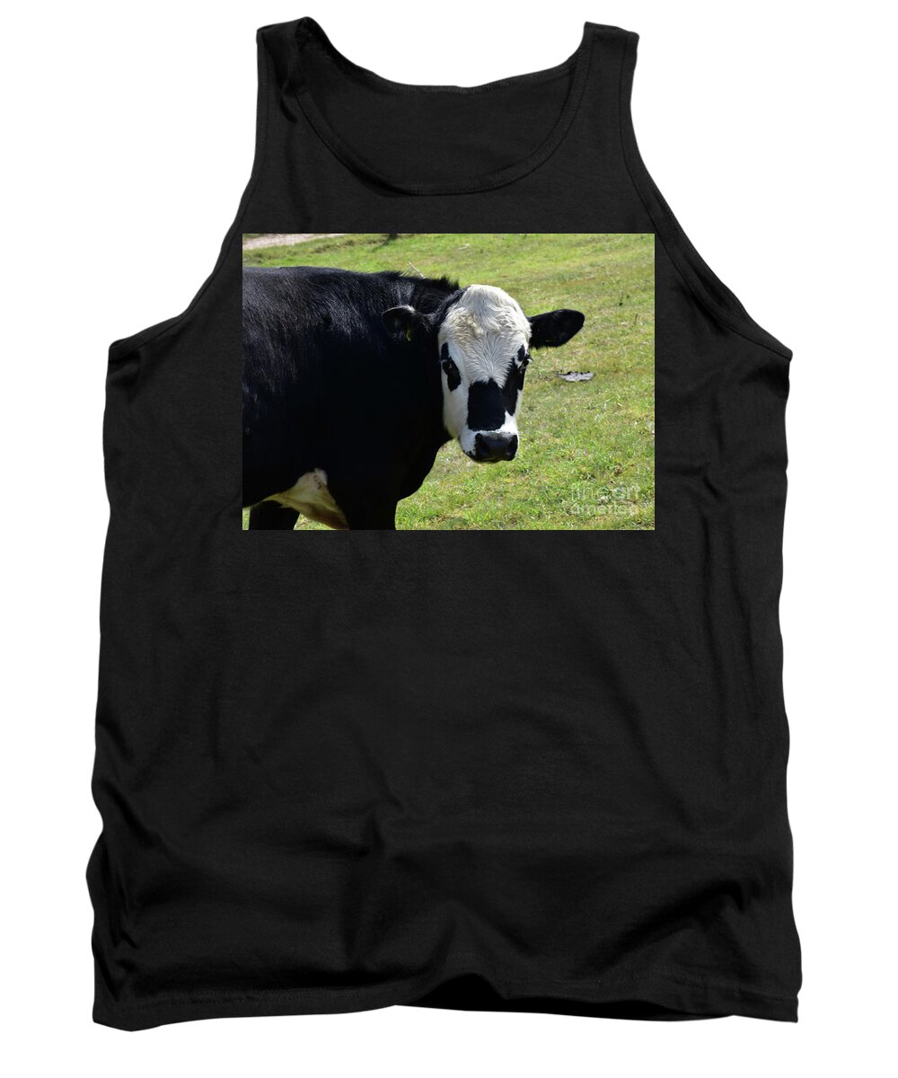Cow Tank Top featuring the photograph Black Spots on the Face of a Cow in a Field by DejaVu Designs